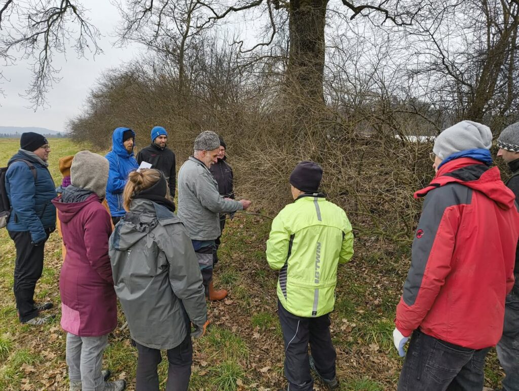 Heckenpflegekurs Iffwil, Februar 2025